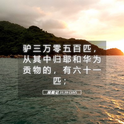 Picture 05 - 民 数 记 31:39 CUVS - 驴 三 万 零 五 百 匹 ， 从 其 中 归 - Bible Verse Picture