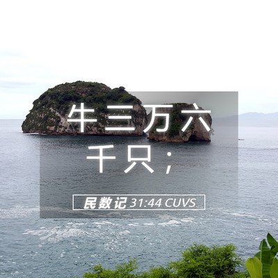 Picture 05 - 民 数 记 31:44 CUVS - 牛 三 万 六 千 只 - Bible Verse Picture