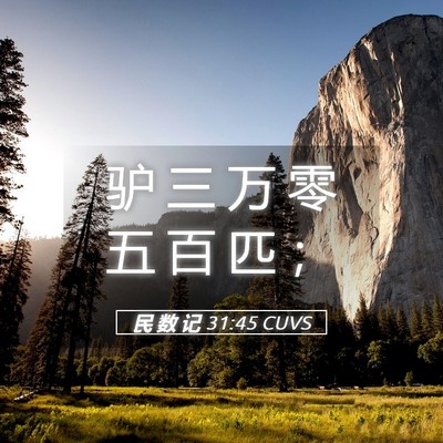 Picture 05 - 民 数 记 31:45 CUVS - 驴 三 万 零 五 百 匹 - Bible Verse Picture