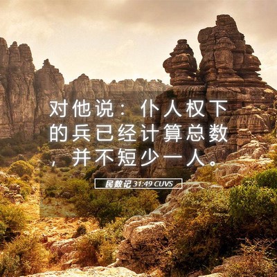 Picture 05 - 民 数 记 31:49 CUVS - 对 他 说 ： 仆 人 权 下 的 兵 已 经 - Bible Verse Picture