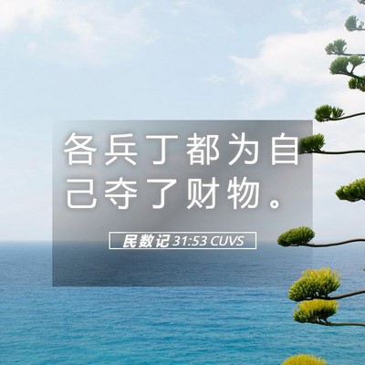 Picture 05 - 民 数 记 31:53 CUVS - 各 兵 丁 都 为 自 己 夺 了 财 物 - Bible Verse Picture