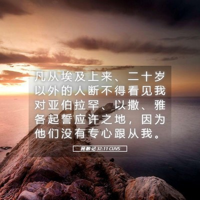 Picture 05 - 民 数 记 32:11 CUVS - 凡 从 埃 及 上 来 、 二 十 岁 以 外 - Bible Verse Picture