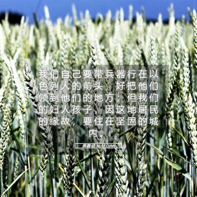 Picture 05 - 民 数 记 32:17 CUVS - 我 们 自 己 要 带 兵 器 行 在 以 色 - Bible Verse Picture