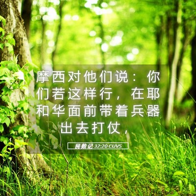 Picture 05 - 民 数 记 32:20 CUVS - 摩 西 对 他 们 说 ： 你 们 若 这 样 - Bible Verse Picture