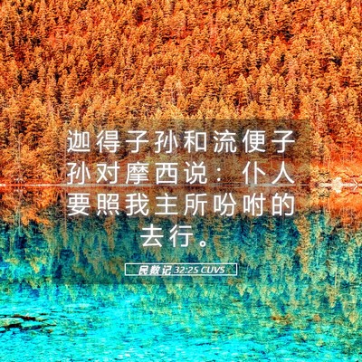 Picture 05 - 民 数 记 32:25 CUVS - 迦 得 子 孙 和 流 便 子 孙 对 摩 西 - Bible Verse Picture