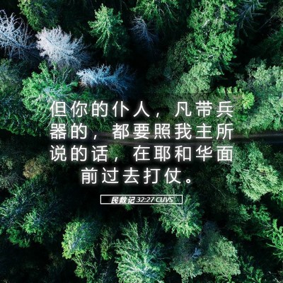 Picture 05 - 民 数 记 32:27 CUVS - 但 你 的 仆 人 ， 凡 带 兵 器 的 ， - Bible Verse Picture