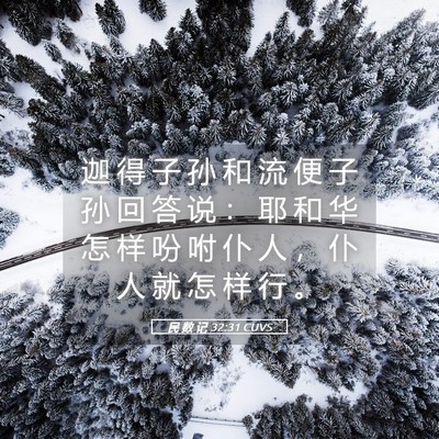 Picture 05 - 民 数 记 32:31 CUVS - 迦 得 子 孙 和 流 便 子 孙 回 答 说 - Bible Verse Picture