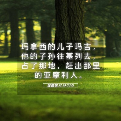 Picture 05 - 民 数 记 32:39 CUVS - 玛 拿 西 的 儿 子 玛 吉 ， 他 的 子 - Bible Verse Picture