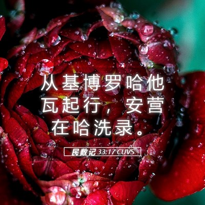 Picture 05 - 民 数 记 33:17 CUVS - 从 基 博 罗 哈 他 瓦 起 行 ， 安 营 - Bible Verse Picture