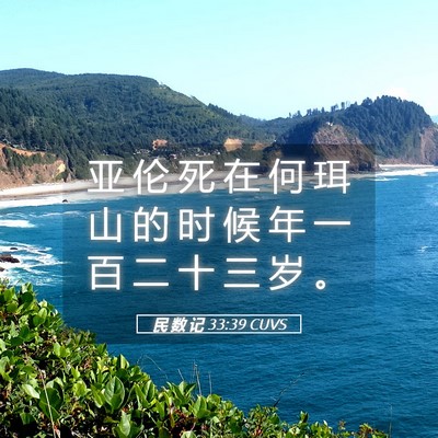 Picture 05 - 民 数 记 33:39 CUVS - 亚 伦 死 在 何 珥 山 的 时 候 年 一 - Bible Verse Picture