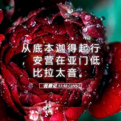 Picture 05 - 民 数 记 33:46 CUVS - 从 底 本 迦 得 起 行 ， 安 营 在 亚 - Bible Verse Picture