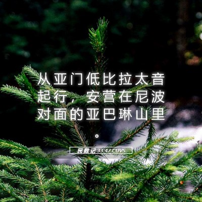 Picture 05 - 民 数 记 33:47 CUVS - 从 亚 门 低 比 拉 太 音 起 行 ， 安 - Bible Verse Picture