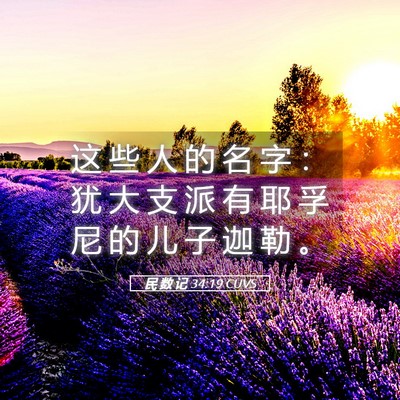 Picture 05 - 民 数 记 34:19 CUVS - 这 些 人 的 名 字 ： 犹 大 支 派 有 - Bible Verse Picture