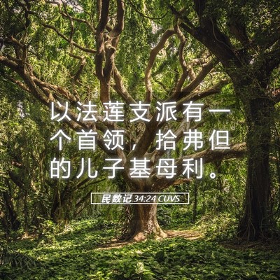 Picture 05 - 民 数 记 34:24 CUVS - 以 法 莲 支 派 有 一 个 首 领 ， 拾 - Bible Verse Picture