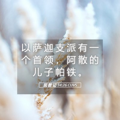 Picture 05 - 民 数 记 34:26 CUVS - 以 萨 迦 支 派 有 一 个 首 领 ， 阿 - Bible Verse Picture