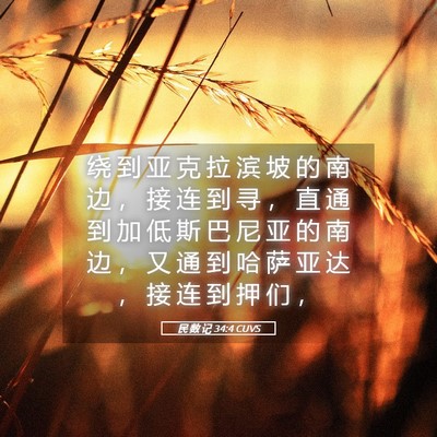 Picture 05 - 民 数 记 34:4 CUVS - 绕 到 亚 克 拉 滨 坡 的 南 边 ， 接 - Bible Verse Picture