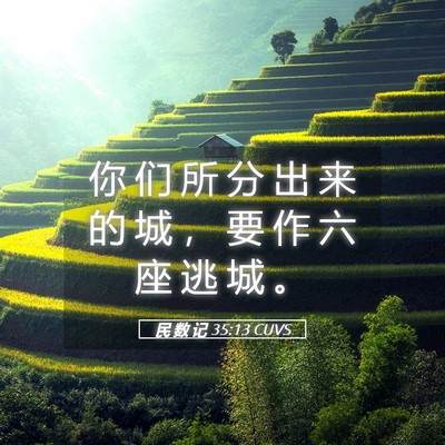 Picture 05 - 民 数 记 35:13 CUVS - 你 们 所 分 出 来 的 城 ， 要 作 六 - Bible Verse Picture