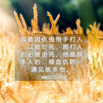 Picture 05 - 民 数 记 35:21 CUVS - 或 是 因 仇 恨 用 手 打 人 ， 以 致 - Bible Verse Picture