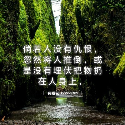 Picture 05 - 民 数 记 35:22 CUVS - 倘 若 人 没 有 仇 恨 ， 忽 然 将 人 - Bible Verse Picture