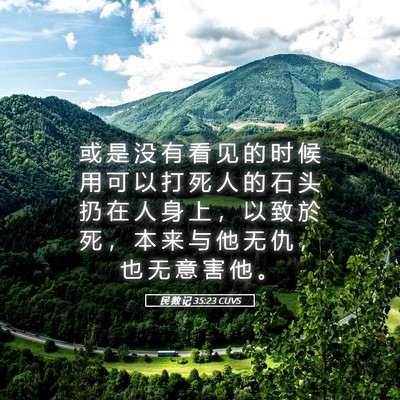 Picture 05 - 民 数 记 35:23 CUVS - 或 是 没 有 看 见 的 时 候 用 可 以 - Bible Verse Picture