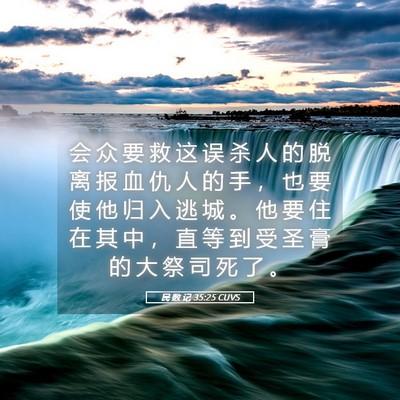Picture 05 - 民 数 记 35:25 CUVS - 会 众 要 救 这 误 杀 人 的 脱 离 报 - Bible Verse Picture