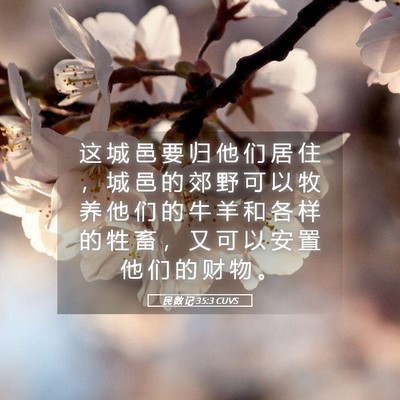 Picture 05 - 民 数 记 35:3 CUVS - 这 城 邑 要 归 他 们 居 住 ， 城 邑 - Bible Verse Picture