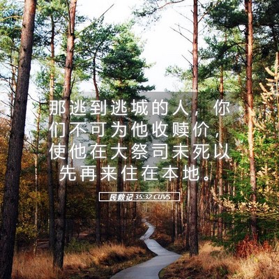 Picture 05 - 民 数 记 35:32 CUVS - 那 逃 到 逃 城 的 人 ， 你 们 不 可 - Bible Verse Picture
