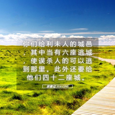 Picture 05 - 民 数 记 35:6 CUVS - 你 们 给 利 未 人 的 城 邑 ， 其 中 - Bible Verse Picture