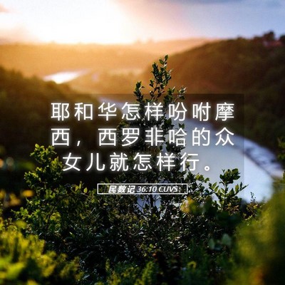 Picture 05 - 民 数 记 36:10 CUVS - 耶 和 华 怎 样 吩 咐 摩 西 ， 西 罗 - Bible Verse Picture