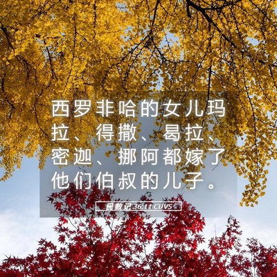 Picture 05 - 民 数 记 36:11 CUVS - 西 罗 非 哈 的 女 儿 玛 拉 、 得 撒 - Bible Verse Picture