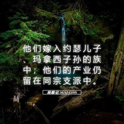Picture 05 - 民 数 记 36:12 CUVS - 他 们 嫁 入 约 瑟 儿 子 、 玛 拿 西 - Bible Verse Picture