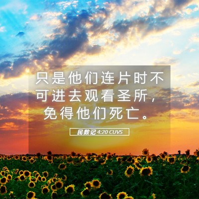 Picture 05 - 民 数 记 4:20 CUVS - 只 是 他 们 连 片 时 不 可 进 去 观 - Bible Verse Picture