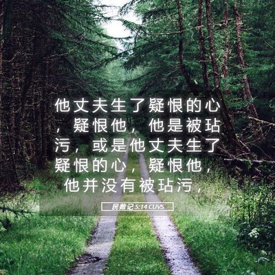 Picture 05 - 民 数 记 5:14 CUVS - 他 丈 夫 生 了 疑 恨 的 心 ， 疑 恨 - Bible Verse Picture