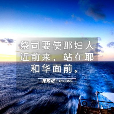 Picture 05 - 民 数 记 5:16 CUVS - 祭 司 要 使 那 妇 人 近 前 来 ， 站 - Bible Verse Picture
