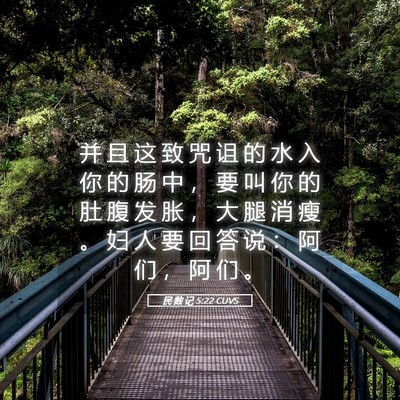 Picture 05 - 民 数 记 5:22 CUVS - 并 且 这 致 咒 诅 的 水 入 你 的 肠 - Bible Verse Picture