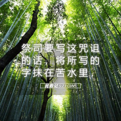 Picture 05 - 民 数 记 5:23 CUVS - 祭 司 要 写 这 咒 诅 的 话 ， 将 所 - Bible Verse Picture