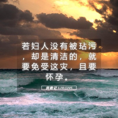 Picture 05 - 民 数 记 5:28 CUVS - 若 妇 人 没 有 被 玷 污 ， 却 是 清 - Bible Verse Picture