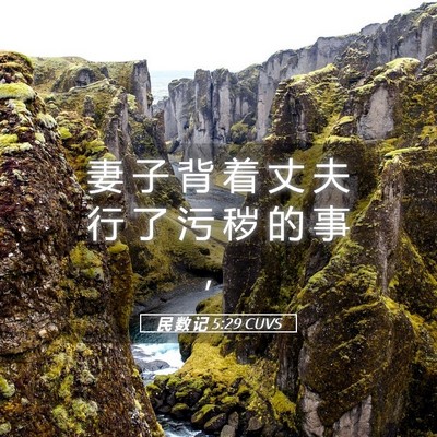 Picture 05 - 民 数 记 5:29 CUVS - 妻 子 背 着 丈 夫 行 了 污 秽 的 事 - Bible Verse Picture