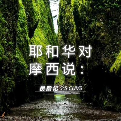 Picture 05 - 民 数 记 5:5 CUVS - 耶 和 华 对 摩 西 说 - Bible Verse Picture