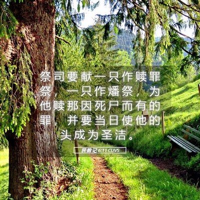 Picture 05 - 民 数 记 6:11 CUVS - 祭 司 要 献 一 只 作 赎 罪 祭 ， 一 - Bible Verse Picture