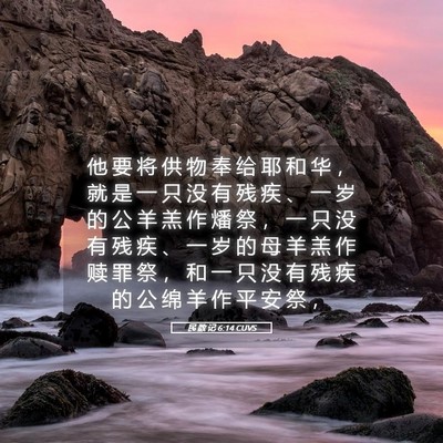 Picture 05 - 民 数 记 6:14 CUVS - 他 要 将 供 物 奉 给 耶 和 华 ， 就 - Bible Verse Picture