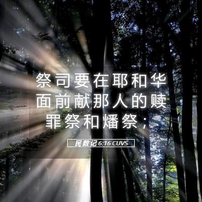 Picture 05 - 民 数 记 6:16 CUVS - 祭 司 要 在 耶 和 华 面 前 献 那 人 - Bible Verse Picture