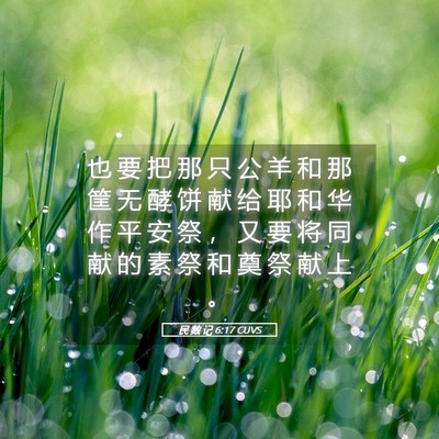 Picture 05 - 民 数 记 6:17 CUVS - 也 要 把 那 只 公 羊 和 那 筐 无 酵 - Bible Verse Picture