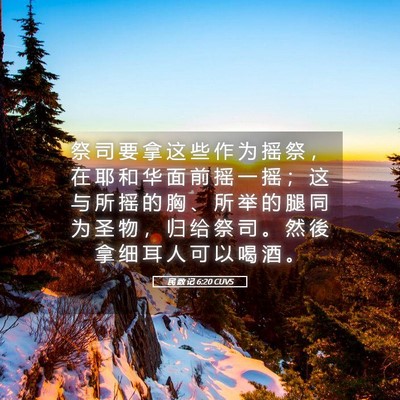 Picture 05 - 民 数 记 6:20 CUVS - 祭 司 要 拿 这 些 作 为 摇 祭 ， 在 - Bible Verse Picture