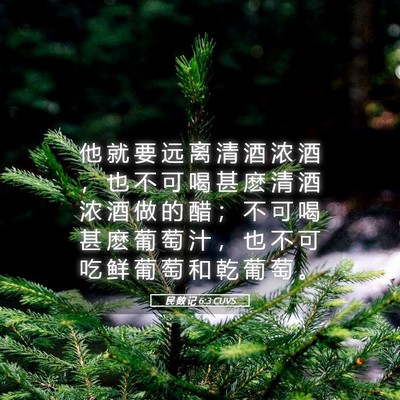 Picture 05 - 民 数 记 6:3 CUVS - 他 就 要 远 离 清 酒 浓 酒 ， 也 不 - Bible Verse Picture