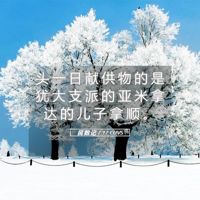 Picture 05 - 民 数 记 7:12 CUVS - 头 一 日 献 供 物 的 是 犹 大 支 派 - Bible Verse Picture