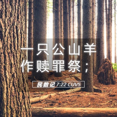 Picture 05 - 民 数 记 7:22 CUVS - 一 只 公 山 羊 作 赎 罪 祭 - Bible Verse Picture