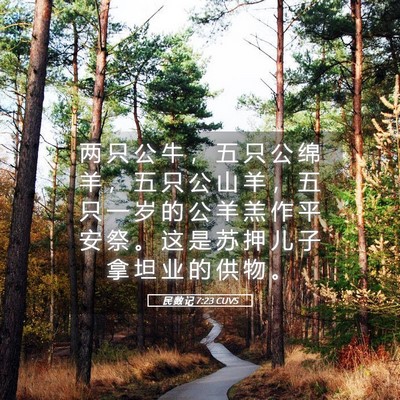 Picture 05 - 民 数 记 7:23 CUVS - 两 只 公 牛 ， 五 只 公 绵 羊 ， 五 - Bible Verse Picture