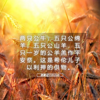 Picture 05 - 民 数 记 7:29 CUVS - 两 只 公 牛 ， 五 只 公 绵 羊 ， 五 - Bible Verse Picture