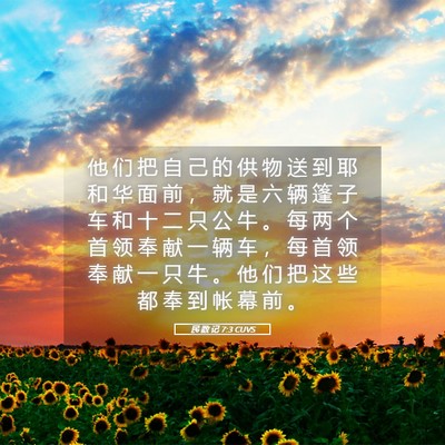 Picture 05 - 民 数 记 7:3 CUVS - 他 们 把 自 己 的 供 物 送 到 耶 和 - Bible Verse Picture